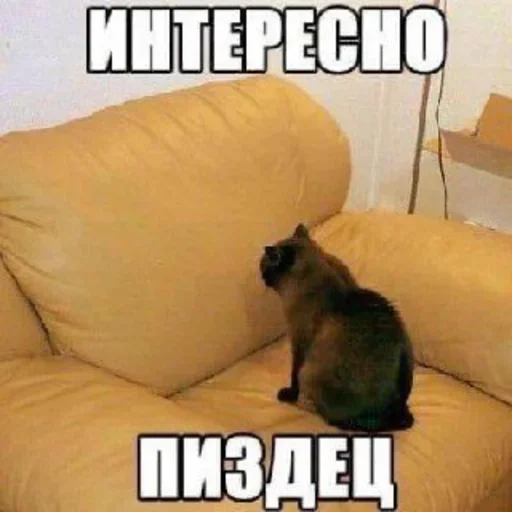 стикерная каша🥯 - 