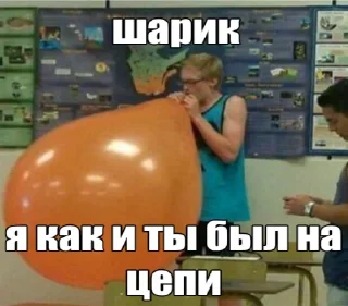 Sticker bitches? - 1