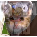 Стикер You Are (Not) Family Friendly - 10