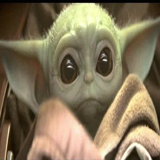 мультфильм йода млекопитающее