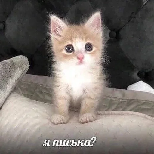 Sticker youvserdce_by_stikk_pakbot - 1