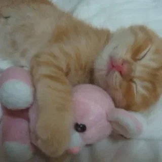 Sticker Больше стиков тут: @gostikers - 7