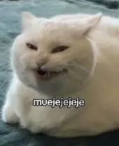 Sticker ysUlmSd_by_achestickbot - 1