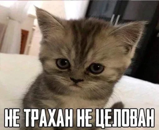 Больше стиков тут: @stikery4 - 