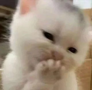 Стикер Больше стиков тут: @stikery4 - 1