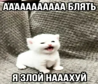 Стикер Больше стиков тут: @stikery4 - 7