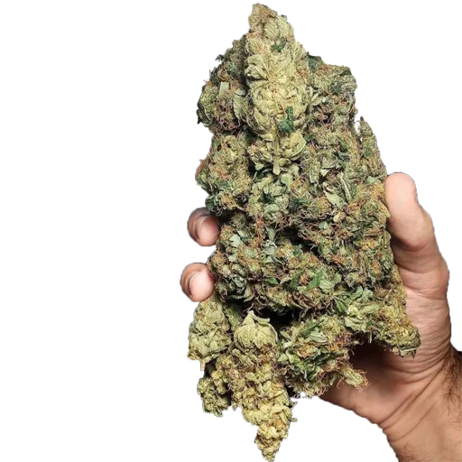 Больше стикеров: @all_stickery - 