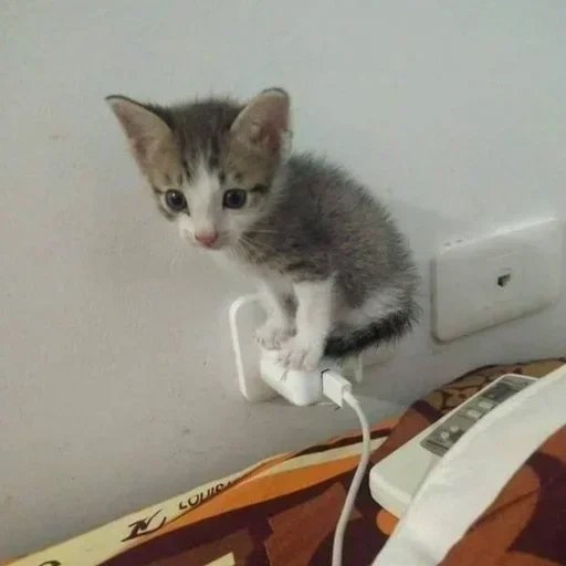 Sticker ytRFcblQaBS_by_stickers_stealer_bot - 1