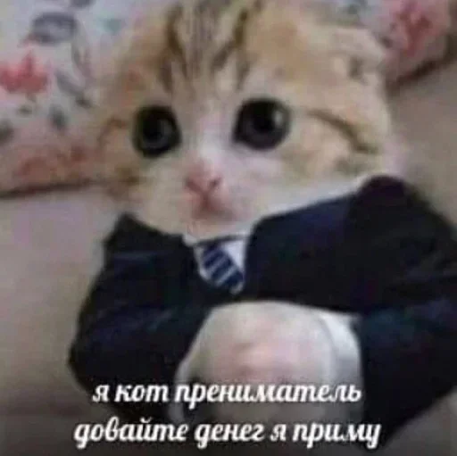 Стикер ytRFcblQaBS_by_stickers_stealer_bot - 1