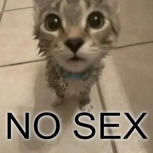 Sticker ytRFcblQaBS_by_stickers_stealer_bot - 1