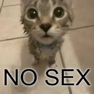 Sticker Больше стикеров 👉🏻 @stickertg4 - 7