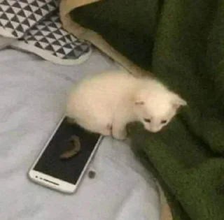 Sticker Больше стикеров 👉🏻 @stickertg4 - 2