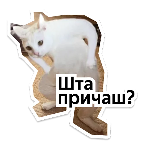 Стикер yteam_serbparty - 1