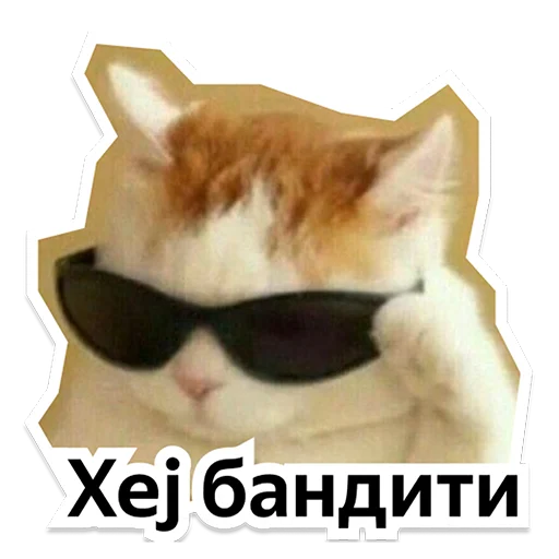 Стикер yteam_serbparty - 1