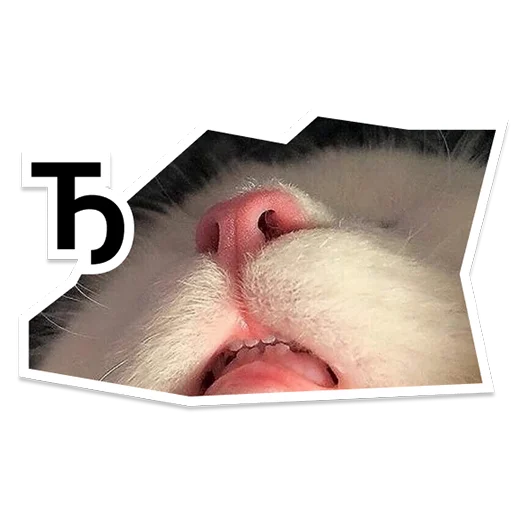 Стикер yteam_serbparty - 1