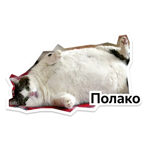 Стикер yteam_serbparty - 1