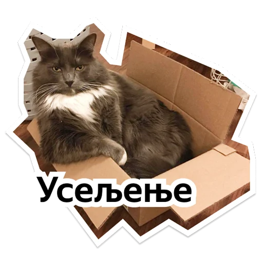 Стикер yteam_serbparty - 1