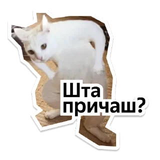 Стикер Y Team Усељење - 11