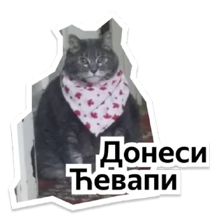 Стикер Y Team Усељење - 6