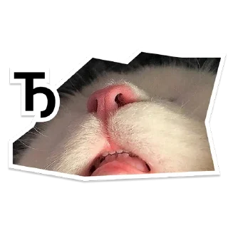 Стикер Y Team Усељење - 7