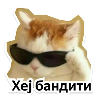 Стикер Y Team Усељење - 9