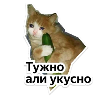 Стикер Y Team Усељење - 4