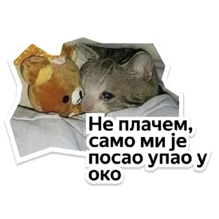 Стикер Y Team Усељење - 2