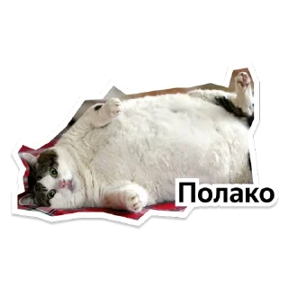 Стикер Y Team Усељење - 5