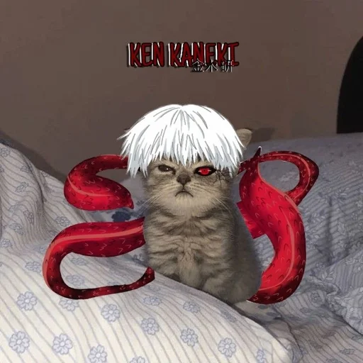 комнатный кошачьи кошки малого и среднего размера