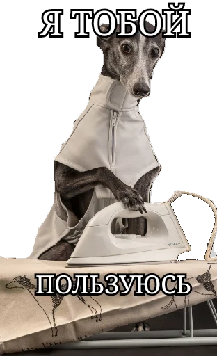 Утюг Утюговый - 