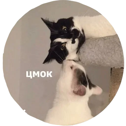 Sticker yuiatudogawa - 1