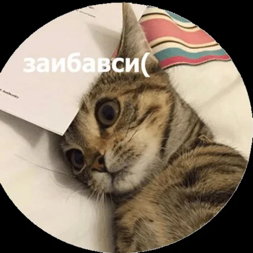 Sticker yuiatudogawa - 1