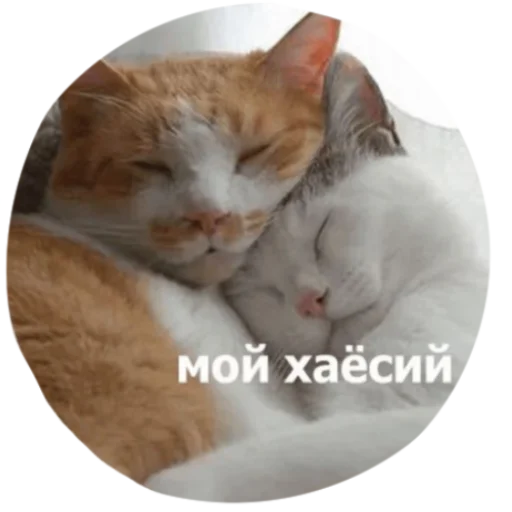 Sticker yuiatudogawa - 1