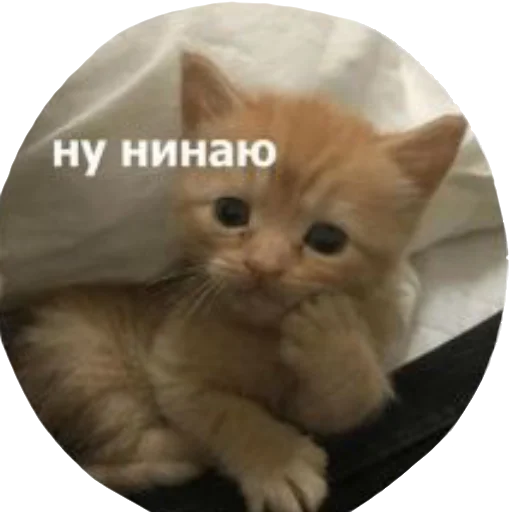 Sticker yuiatudogawa - 1