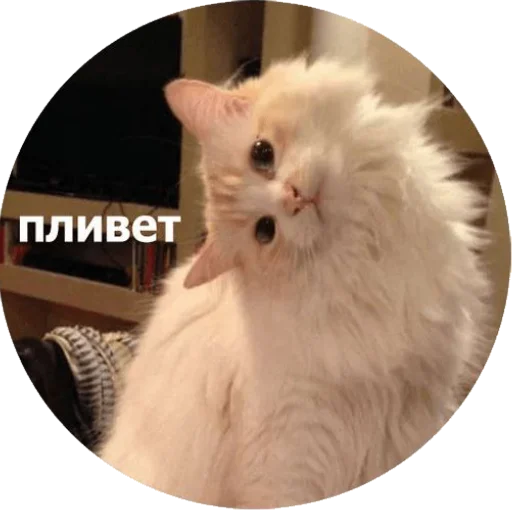 Стикер yuiatudogawa - 1