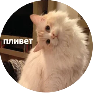 Sticker От Лилёк - 2