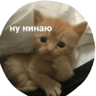 Sticker От Лилёк - 5