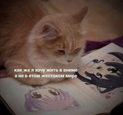 Стикер Аниме - лучшее :: @fStikBot - 2