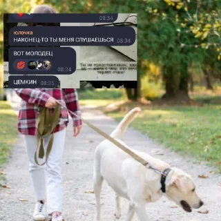 Стикер юлочка легенд - 2