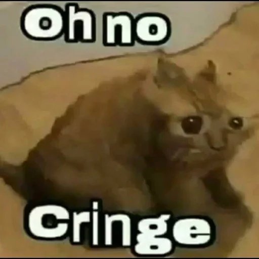 Стикер miu :: @fStikBot - 3