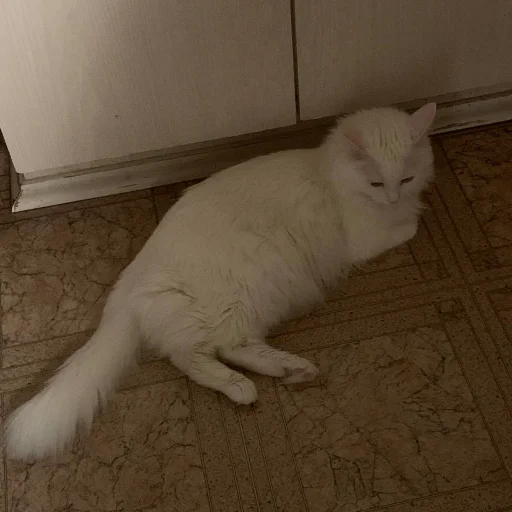 Стикер yunyunhoehoe - 1