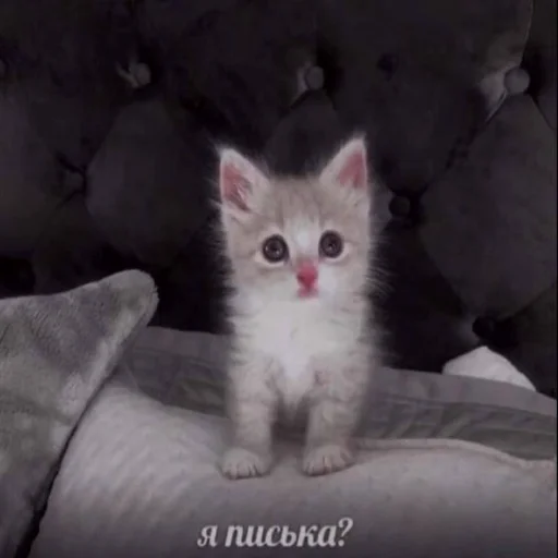 Sticker yunyunhoehoe - 1