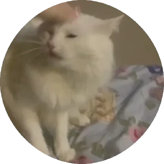 Стикер yunhoe - 2