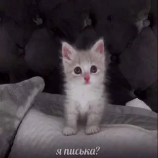 Стикер yunhoe - 0