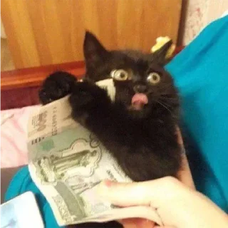 Стикер ыыыы - 4