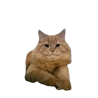 Стикер ыыыы - 8