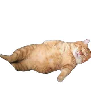 Стикер ыыыы - 9