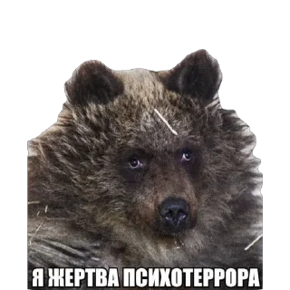 Стикер ыыыы - 5