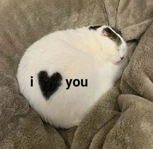 Sticker Люблю 💗 (Created By: @StikerProBot) - 8