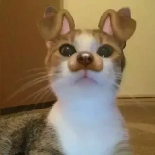 Sticker Больше стикеров: @sticerru - 0